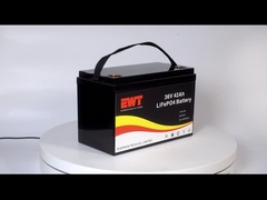 ৩৬ ভোল্ট ৪২ এএইচ এলএফপি