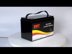 ৪৮ ভোল্ট ৩০ এএইচ এলএফপি