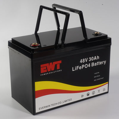 কাস্টমাইজড LifePo4 ব্যাটারি 48V 30ah 1000w জন্য Ebike ব্যাটারি প্যাক